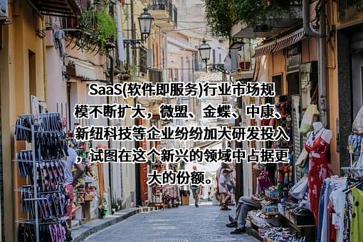 上海微盟企业发展有限公司