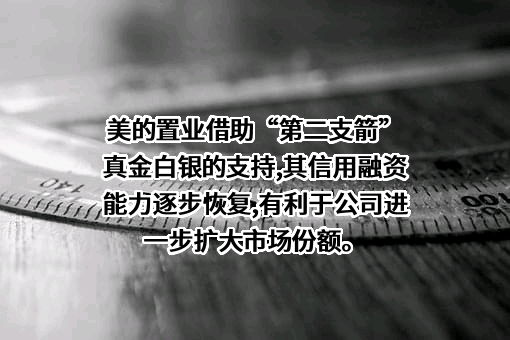 美的置业集团有限公司