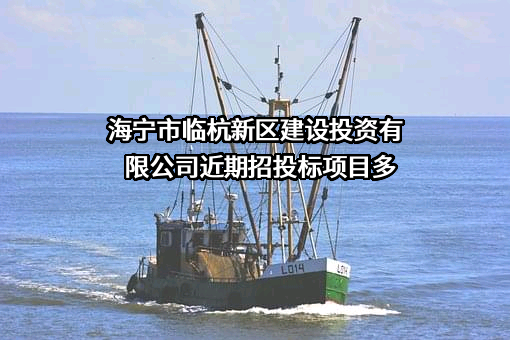 海宁市临杭新区建设投资有限公司近期招投标项目多