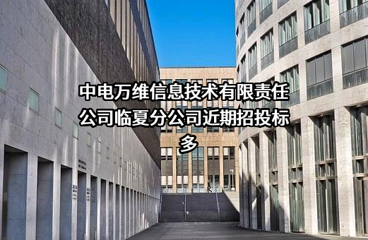 中电万维信息技术有限责任公司临夏分公司近期招投标项目多