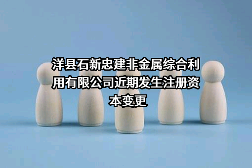 洋县石新忠建非金属综合利用有限公司