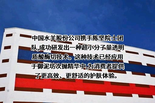 水羊集团股份有限公司