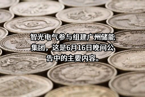 中新苏州工业园区开发集团股份有限公司