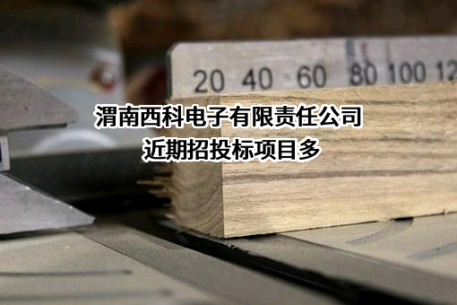 渭南西科电子有限责任公司近期招投标项目多