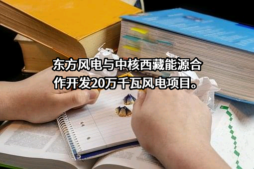 中海油新能源东方风电有限公司