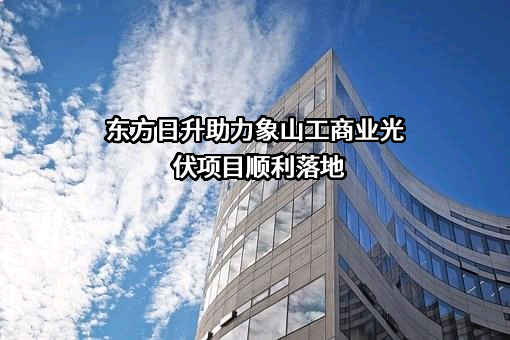 东方日升新能源股份有限公司