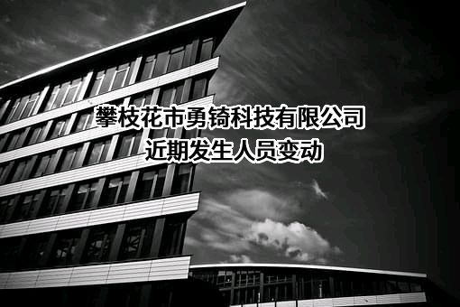 攀枝花市勇锜科技有限公司