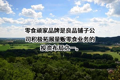 良品铺子股份有限公司