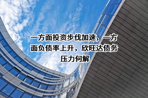 一方面投资步伐加速，一方面负债率上升，欣旺达债务压力何解