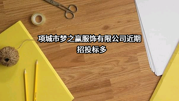 项城市梦之赢服饰有限公司近期招投标项目多