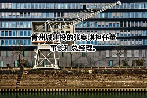 青州城建投的张奥琪担任董事长和总经理。