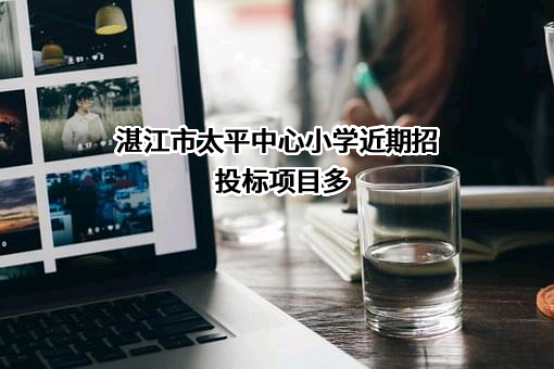 湛江市太平中心小学