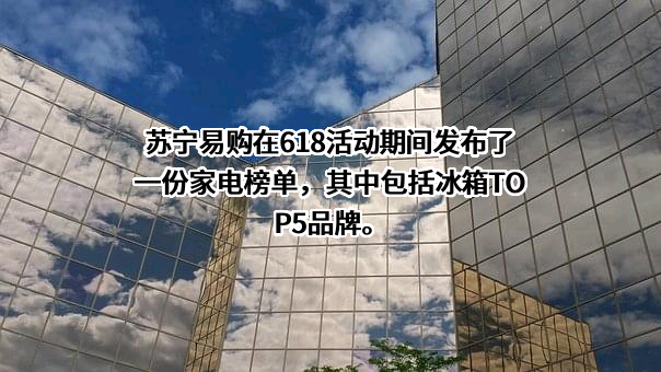 苏宁易购集团股份有限公司
