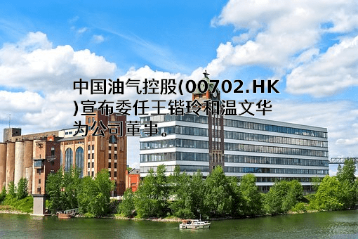中国油气控股有限公司