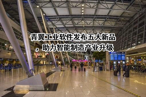 美年大健康产业控股股份有限公司