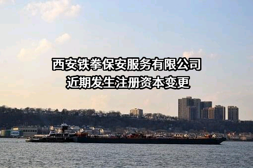 西安铁拳保安服务有限公司