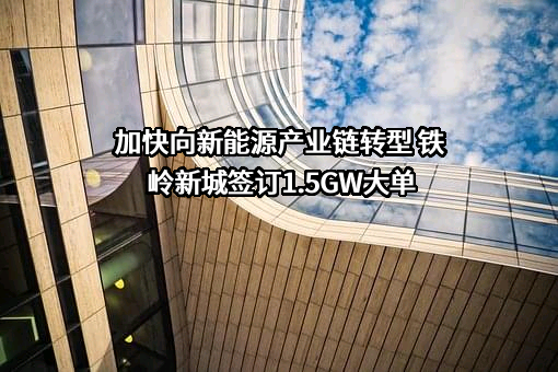 铁岭新城投资控股（集团）股份有限公司
