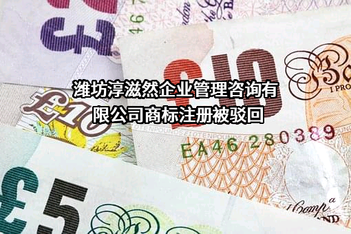 潍坊淳滋然企业管理咨询有限公司商标注册被驳回