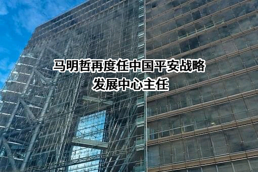 中国平安保险（集团）股份有限公司