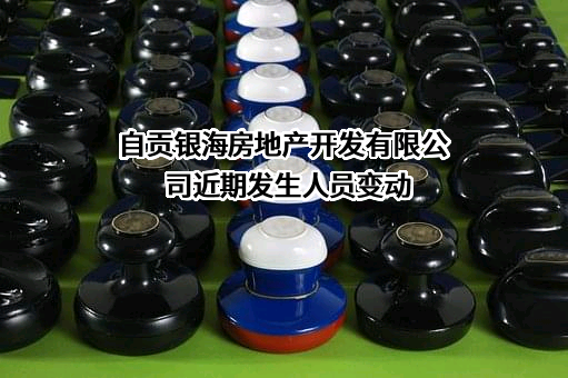 自贡银海房地产开发有限公司