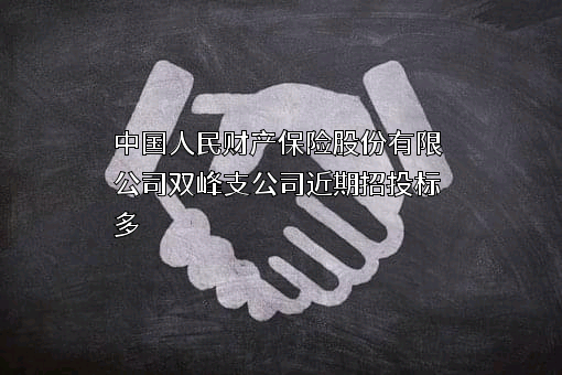 中国人民财产保险股份有限公司双峰支公司近期招投标项目多