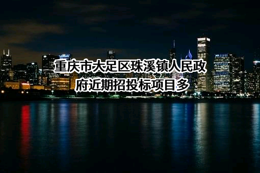 重庆市大足区珠溪镇人民政府近期招投标项目多