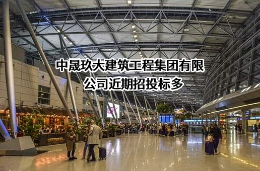 中晟玖大建筑工程集团有限公司