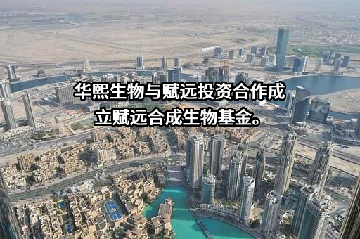 上海赋远投资管理有限公司