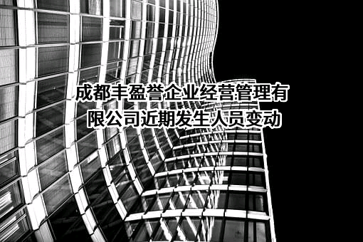 成都丰盈誉企业经营管理有限公司