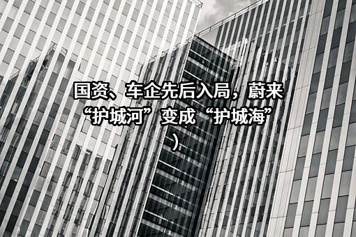 上海蔚来汽车有限公司