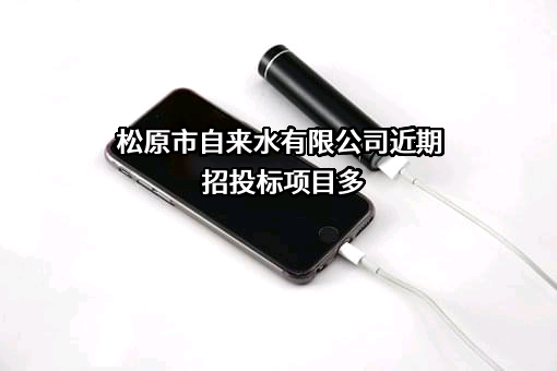 松原市自来水有限公司近期招投标项目多