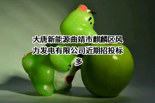 大唐新能源曲靖市麒麟区风力发电有限公司