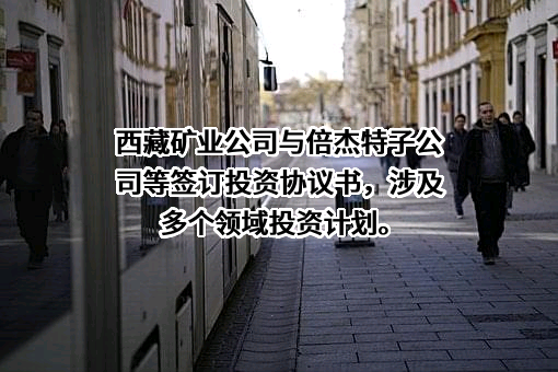 西藏矿业发展股份有限公司