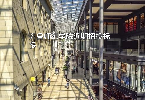 齐鲁师范学院
