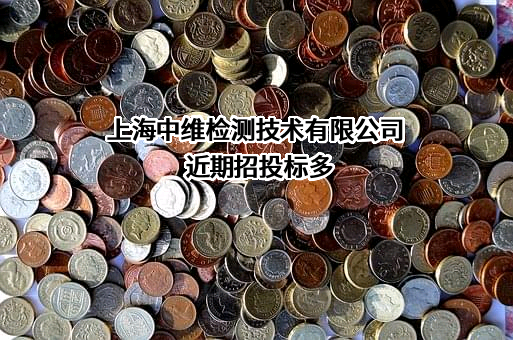 上海中维检测技术有限公司