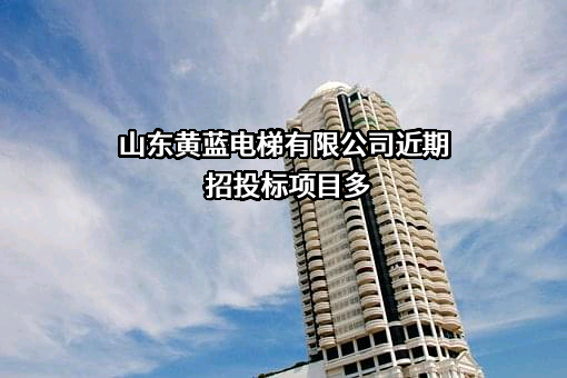 山东黄蓝电梯有限公司