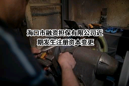 海口市融资担保有限公司