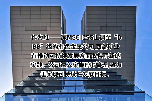 西部矿业股份有限公司