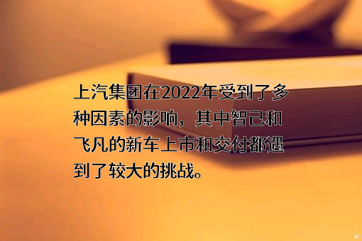 上海汽车集团股份有限公司