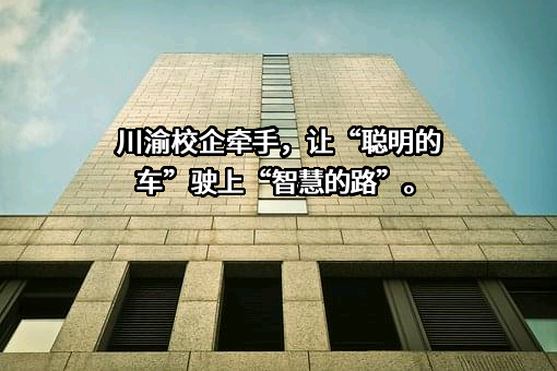 西部车网（重庆）有限公司