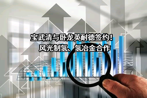 宝武清洁能源有限公司
