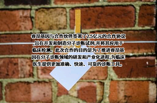 上海睿昂基因科技股份有限公司