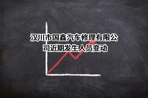 汉川市国鑫汽车修理有限公司