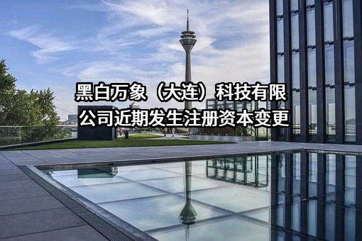 黑白万象（大连）科技有限公司