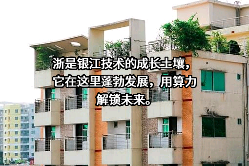 银江技术股份有限公司