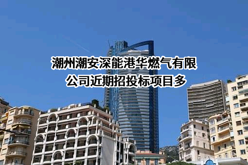 潮州潮安深能港华燃气有限公司近期招投标项目多