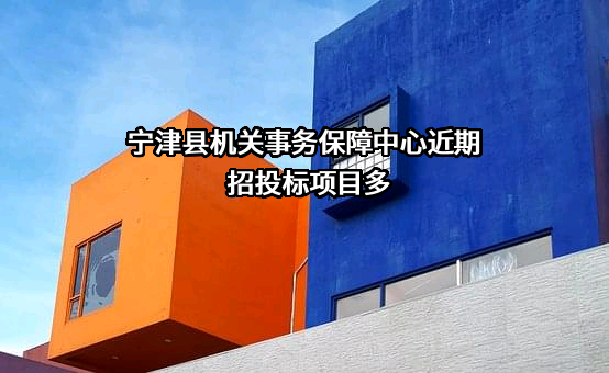 宁津县机关事务保障中心近期招投标项目多