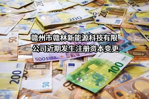 赣州市赣林新能源科技有限公司