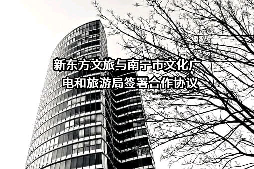 南宁市文化广电和旅游局
