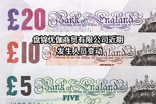 盘锦优伽商贸有限公司